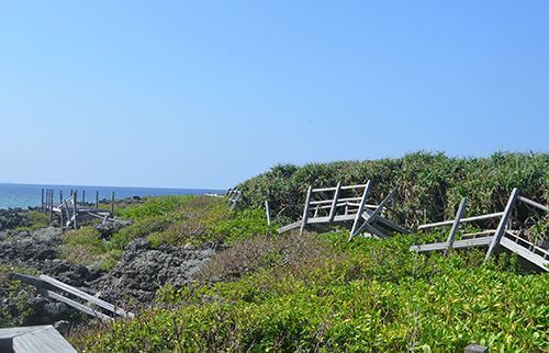 移住者を呼んでも受け入れる体制ができていない 沖縄の離島が抱える悩みをどう解決するか 復帰半世紀へ 展望沖縄の姿 12 琉球新報デジタル 沖縄のニュース速報 情報サイト