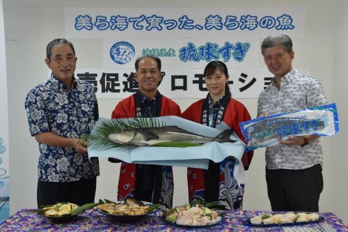 沖縄で高級魚スギの養殖本格化 魚病対策整う 県外にも販路拡大へ 琉球新報デジタル 沖縄のニュース速報 情報サイト
