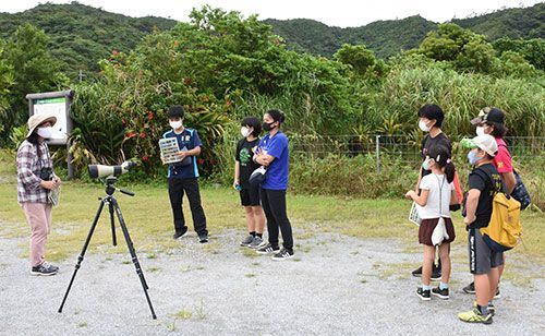 多様な生物 豊かさを実感 小中高生が観察会 大宜味 喜如嘉ターブク 琉球新報デジタル 沖縄のニュース速報 情報サイト