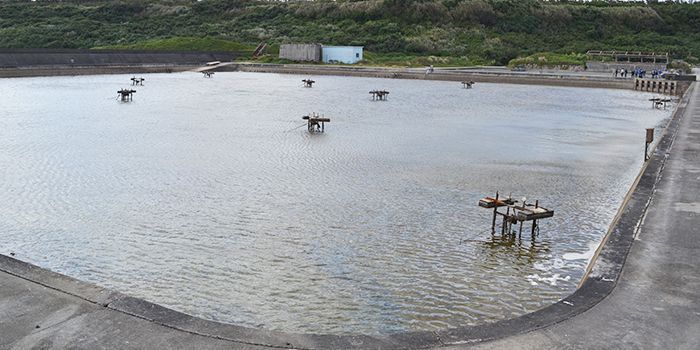 クルマエビ140万匹死滅 宮古島で来期の養殖休止 28年続けたが やむなし 琉球新報デジタル 沖縄のニュース速報 情報サイト