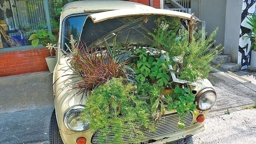 草がボーボー生える 映える 車を発見 島ネタchosa班 琉球新報style 沖縄の毎日をちょっと楽しく新しくするウェブマガジン