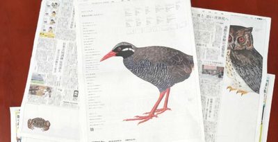 新聞に原寸大の生物が　琉球新報に新手法の広告　沖縄セルラー、沖縄タイムスと3社コラボ　生物多様性、環境保護へメッセージ