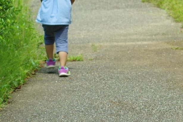 2歳児が散歩中に取り残され一時不明に　20分後に発見　沖縄の北部　園が保護者に陳謝、再発防止策を自治体に提出