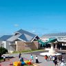 沖縄の「美ら海水族館」児童生徒は無料に！　遠足や修学旅行など「行事」の場合　10月1日から