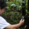 西表島のジャングル、外来種調査に衛星通信が活躍　沖縄セルラー「スターリンク」でアプリ利用