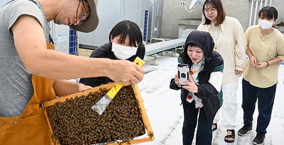 「養蜂家の動画ばかり見ている」　大学で養蜂がアツい、環境学ぶ機会に　職員や学生がチャレンジ　沖縄大と琉球大