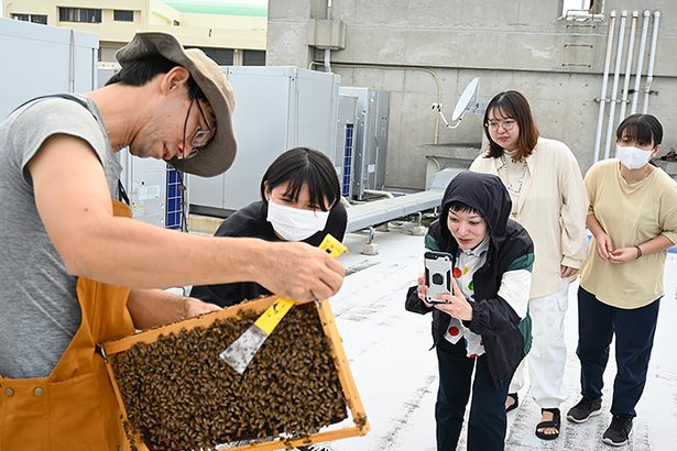 「養蜂家の動画ばかり見ている」　大学で養蜂がアツい、環境学ぶ機会に　職員や学生がチャレンジ　沖縄大と琉球大