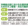 沖縄県が「捨てネコ防止」「やんばる保全」で行動計画を公表　パブコメは1000件超