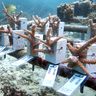「使って、育てる」サンゴ増殖のクラウドファンディング、目標上回る　沖坤が国頭漁協へ収益を贈呈