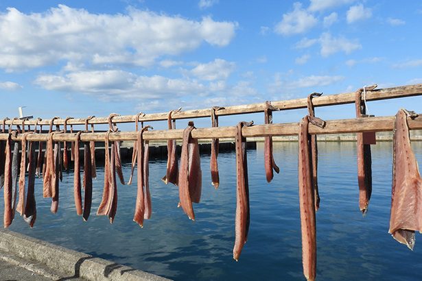 秋の風物詩「フーヌイユ」の天日干し始まる　300年続く伝統漁法で水揚げ　国頭村宜名真で販売　沖縄