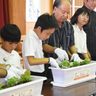 「人権の花」で思いやりの心を　石垣・名蔵小中学校で植え付け式