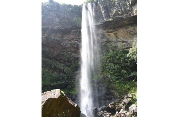 ヒナイ川や古見岳登山道…西表島の5カ所、25年3月にも立ち入り規制開始　「特定自然観光資源」保護
