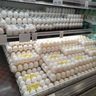 沖縄の鶏卵価格、下落傾向　Mサイズ1キロ300円に　半年で85円安く