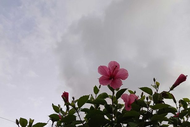 ぶるっ！沖縄各地で「今季最低」　国頭村・奥では17.5度