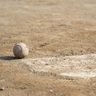 64チーム、6日から熱戦　沖縄県南部地区少年野球交流会大会
