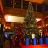 DFS沖縄に高さ9メートルのツリー　一足早いクリスマス堪能　世界中の店舗で沖縄だけ