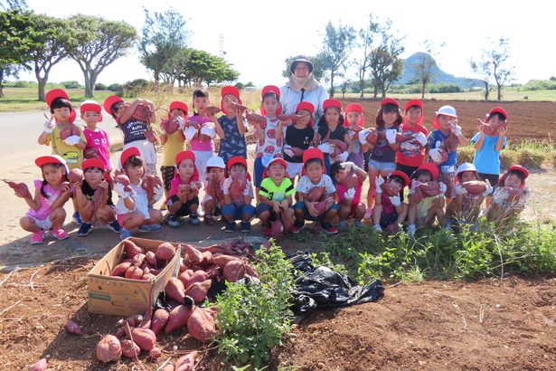 みんなでイモ掘り「楽しい」　伊江・大城さんの畑　西幼稚園児らが挑戦