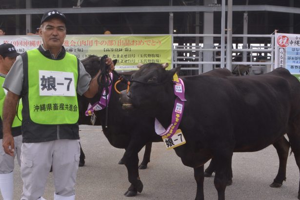 荷川取さん農水大臣賞　県畜産共進会　飼養管理技術競う