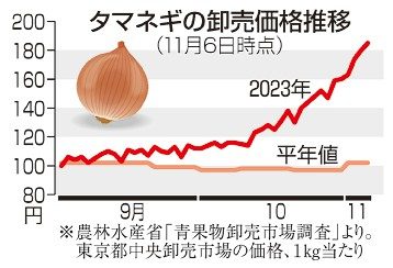 タマネギ高騰　１１月２倍弱に　猛暑で北海道不作
