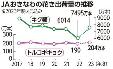 キク類　出荷本数１８％減　２２年度　トルコギキョウ５．６％減