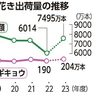 キク類　出荷本数１８％減　２２年度　トルコギキョウ５．６％減