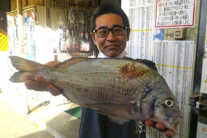 19日、マリンタウンで45.1センチ・1.31キロのミナミクロダイを釣った米須順也さん