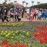 ＜社告＞海洋博公園エンジョイマラソン　2024年1月20日　花咲く春のもとぶ街道巡りも同時開催