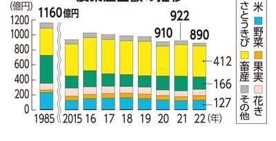 沖縄は890億円、全国で何位？　農業産出額22年度　前年比3.5％減、キビ15％減　JA沖縄「深刻に受け止め」