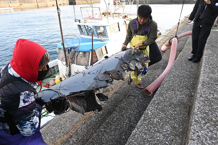 墜落した米空軍のCV22オスプレイの残骸を陸に揚げる漁師ら＝11月30日午後4時前、鹿児島県屋久島の安房港