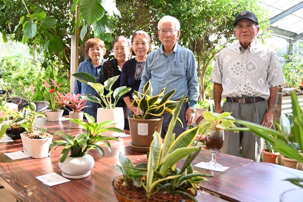 個性キラリ、観葉植物　うるま　老人ク愛好会の５１点