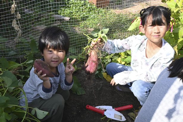 スタジアム農園で食育　世代超え地域住民で野菜づくり　Ｊ１ヴィッセル神戸試み