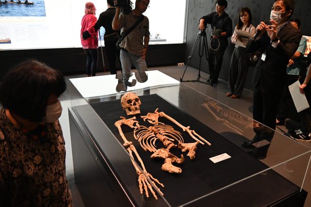 国内最古級「サキタリ洞人」を初公開　沖縄の県立博物館・美術館で旧石器展が開幕