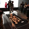 国内最古級「サキタリ洞人」を初公開　沖縄の県立博物館・美術館で旧石器展が開幕