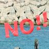 【動画あり】辺野古の海に浮かぶ「代執行NO」　土砂投入から5年、新基地建設抗議の60人「投入やめろ」