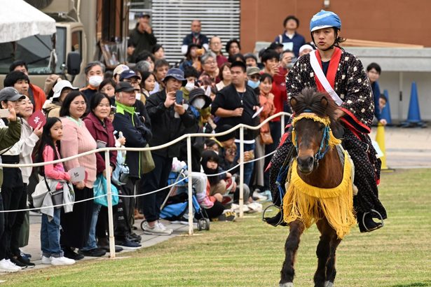 【動画あり】人馬一体、速く美しく　伝統の琉球競馬「ンマハラシー」に19頭が出走　優勝は「どぅなん」　沖縄こどもの国