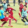 常に前へ、攻める姿勢を　本田圭佑さん考案4v4　少年少女、自ら考えプレー　サッカー