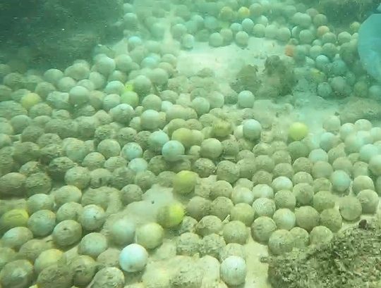 海底から大量のゴルフボール　漁師ら1時間で529個を回収　沖縄・宮古島のゴルフ場沿い
