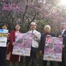 本部町の「八重岳桜まつり」20日から開催　見ごろは今月下旬　4年ぶりにイベントも　沖縄　