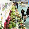 【動画あり】県産品、触れて味わって　花と食フェス開幕　沖縄