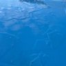沖縄のプールに「氷」　園児ら「ガラスみたい」　専門家も「不思議」な珍現象　南城