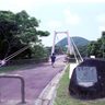 トゥクトゥクが橋の欄干に衝突　観光客の男女5人けが　沖縄・石垣のバンナ公園内