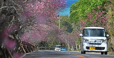 冬なのに…沖縄16カ所で「夏日」　西表島、今年の最高気温26.7度を記録