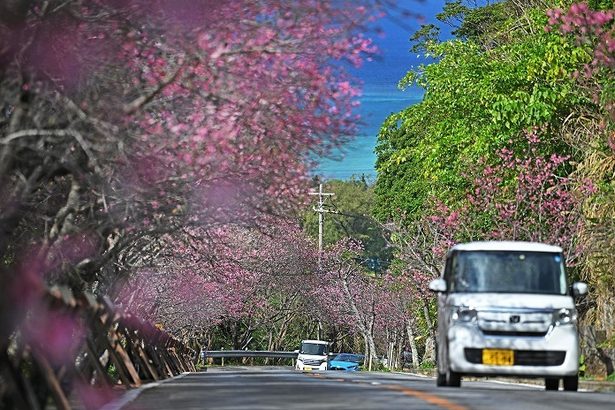 冬なのに…沖縄16カ所で「夏日」　西表島、今年の最高気温26.7度を記録