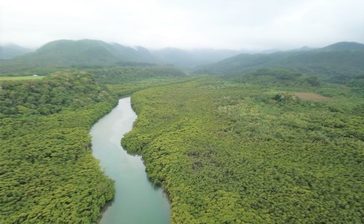 西表島のツアー会社、ガイドの「客数制限」巡り提訴へ　竹富町に取り消し求める　沖縄