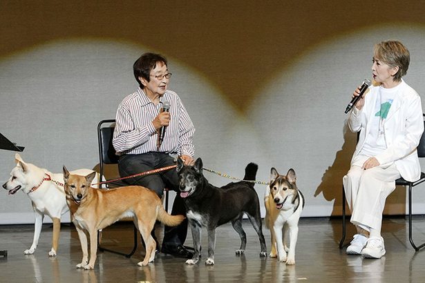 不幸な動物減らしたい　愛護活動に尽力　佐良直美さん（歌手）　捨て犬、捨て猫160匹と生活
