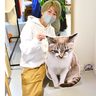 アイドル猫「たけし」の思い胸に　那覇で写真展、多くのファンが集う　沖縄