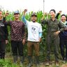 持続可能な農業へ支援を　国頭・具志堅農園　クラウドファンディング呼びかけ　効率化・安定生産目指す　沖縄