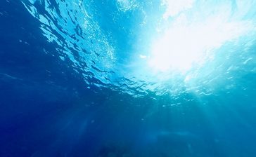 人気ダイビングスポット「ゴリラチョップ」で東京の女性死亡　潜水中に体調不良訴える　沖縄