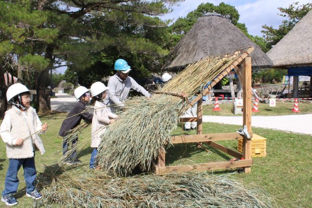 伝統の茅葺き　体験　本部・海洋博、技術継承へ