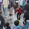 ロボットに人だかり　恩納村産業まつり